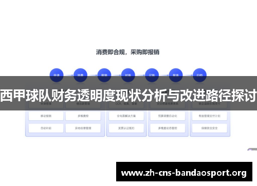 西甲球队财务透明度现状分析与改进路径探讨