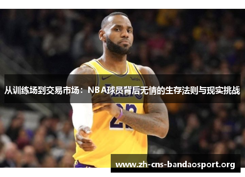 从训练场到交易市场：NBA球员背后无情的生存法则与现实挑战