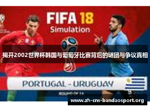 揭开2002世界杯韩国与葡萄牙比赛背后的谜团与争议真相