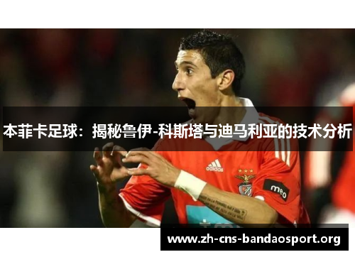 本菲卡足球：揭秘鲁伊-科斯塔与迪马利亚的技术分析