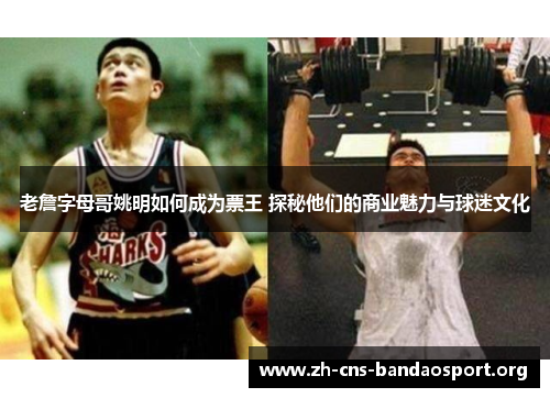 老詹字母哥姚明如何成为票王 探秘他们的商业魅力与球迷文化