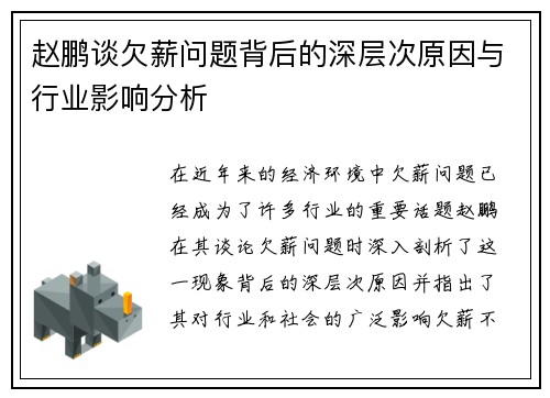 赵鹏谈欠薪问题背后的深层次原因与行业影响分析