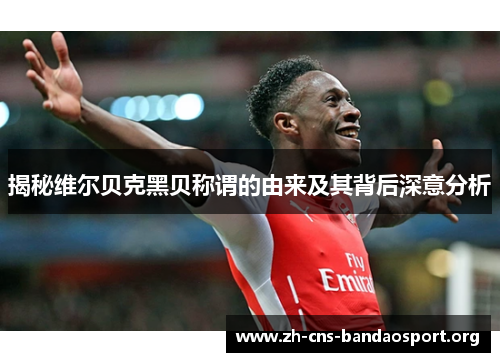 揭秘维尔贝克黑贝称谓的由来及其背后深意分析