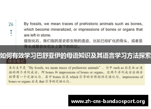 如何有效学习巴舒亚伊的母语知识及其语言学习方法探索 如何有效学习巴舒亚伊的母语知识及其语言学习方法探索
