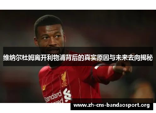 维纳尔杜姆离开利物浦背后的真实原因与未来去向揭秘