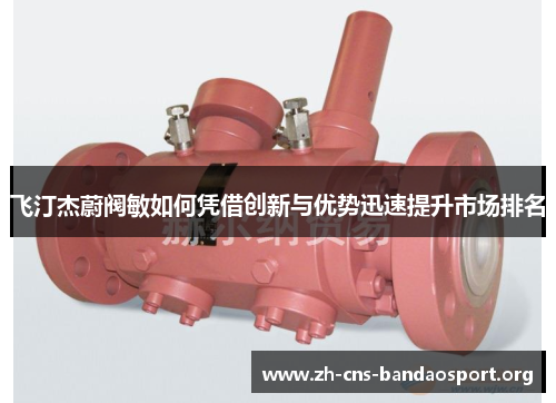 飞汀杰蔚阀敏如何凭借创新与优势迅速提升市场排名